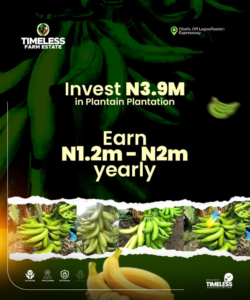 WhatsApp Image 2026 02 01 at 23.51.19