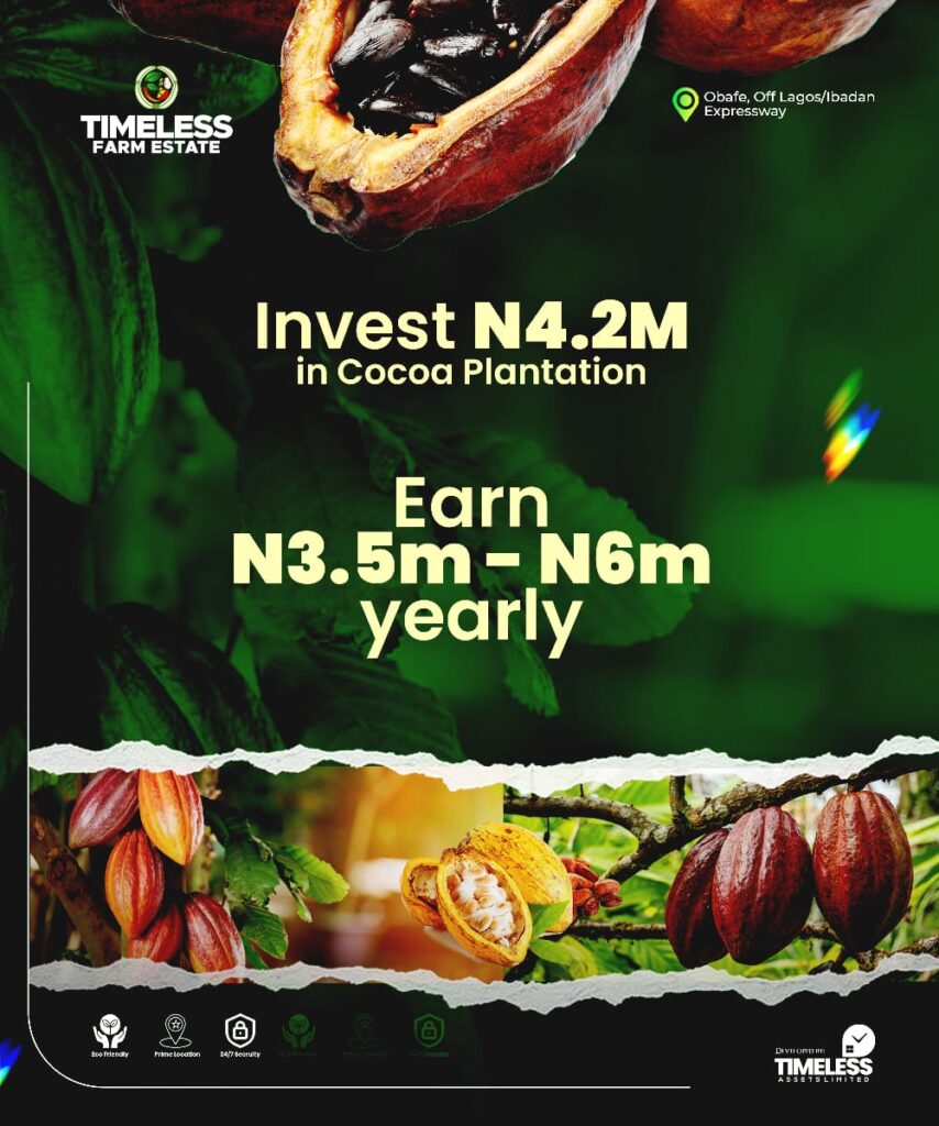 WhatsApp Image 2026 02 01 at 23.52.18